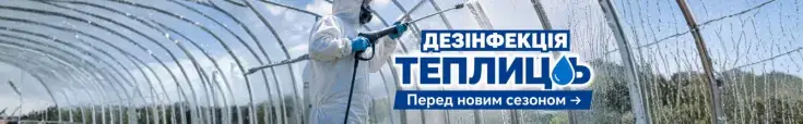 Фото: гіацинти в саду (реклама)